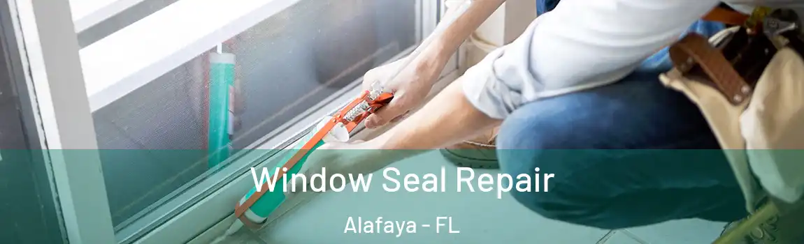 Window Seal Repair Alafaya - FL